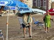 ¿"creativo" palabra?