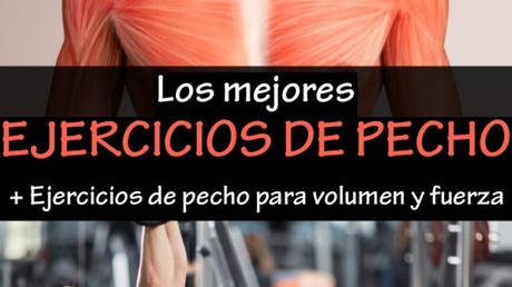 Los Mejores Ejercicios de Pecho – Volumen/Fuerza