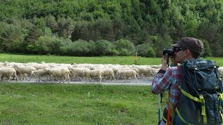 TRANSPIRENAICA GR11 ETAPA 5: ISABA - PEÑA EZCAURRE - ISABA