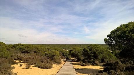 Que Ver En Huelva | 10 Lugares Interesantes Por Conocer