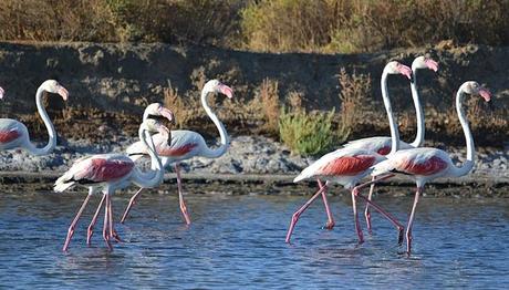 Que Ver En Huelva | 10 Lugares Interesantes Por Conocer