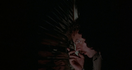 Invasion of the Body Snatchers - 1978