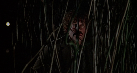 Invasion of the Body Snatchers - 1978