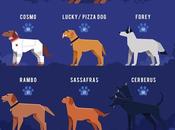 Dogs Marvel universe