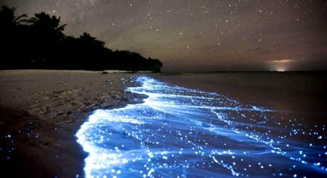 Plancton Luminiscente en Tailandia