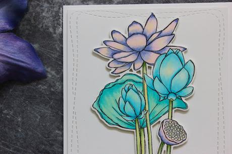 SKETCH LOTUS: a floral card