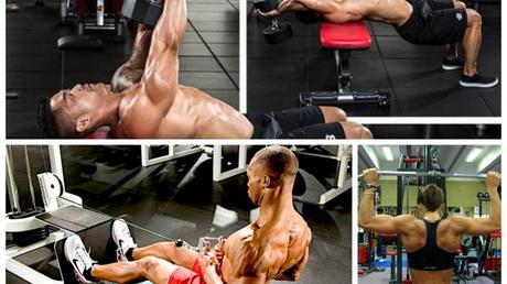 Ejercicios y Entrenamiento de Espalda.