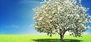 Como Mejorar Alguna Situación Cualquiera Que Sea