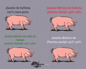 Normativa del jamón ibérico para el etiquetado de las piezas