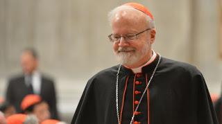 Los obispos dan un toque de atención al Papa: “No es suficiente con decir lo siento”.