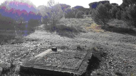 La tragedia del polvorín del Pinar de Antequera