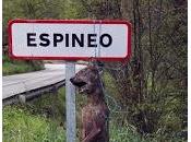 regreso cortadores cabezas