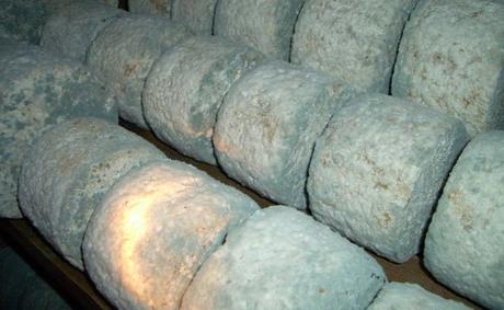 Gastronomía: Cabrales y los cuarenta quesos asturianos. Gastronomía: Cabrales y los cuarenta quesos asturianos.