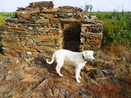 ENTRE ESPAÑA Y PORTUGAL: RECUERDOS DE PIEDRA