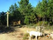 Entre españa portugal: recuerdos piedra