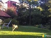 Nomador, comunidad housesitting para crecer