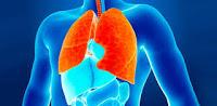 Factores que Predicen el daño Respiratorio en Pacientes Quemados