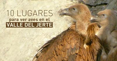 10 lugares para ver aves en el Valle del Jerte