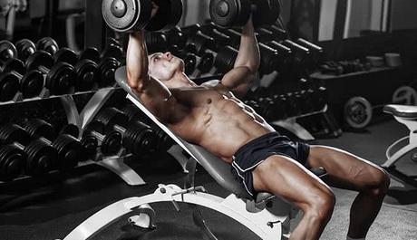 7 Tipos de Fuerza y sus beneficios