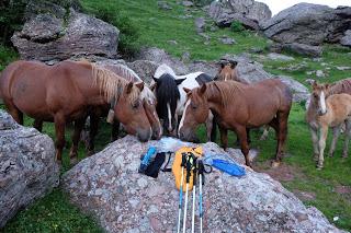 TRANSPIRENAICA GR11 ETAPA 7: REFUGIO DE AGUAS TUERTAS - CANDANCHÚ POR LA CHORROTA DE ASPE