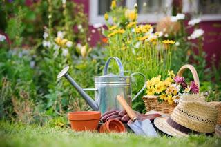 Reseña: El jardín de los nuevos comienzos de Abbi Waxman