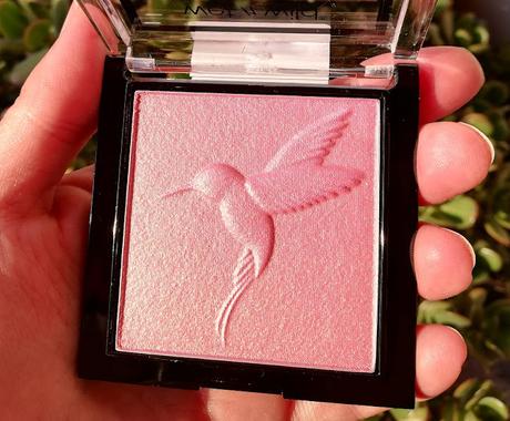 wild edición limitada 