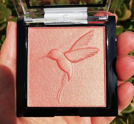 wild edición limitada 