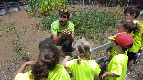 agricultura para niños arucas