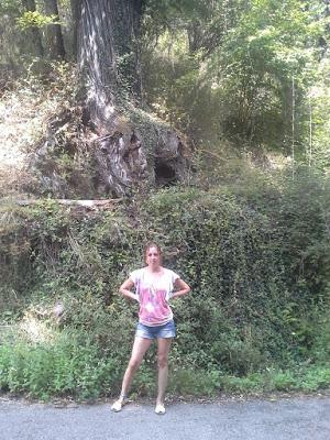 Toma castaño  #MiércolesMudo