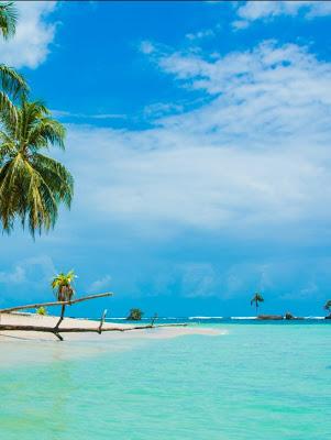Bocas del Toro isla paradisíaca