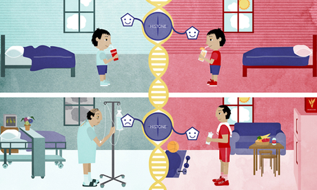 ¿SABIAS QUE PODEMOS MODIFICAR NUESTROS GENES Y LOS DE NUESTROS HIJOS PARA MEJORAR NUESTRA PIEL?