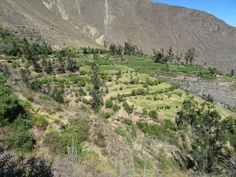 HUAYTARÁ: SINCRETISMO Y MAGIA