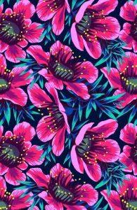 30 De Agosto. Poesía