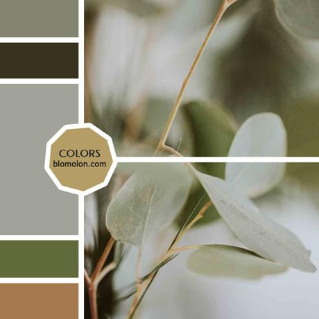 Variedad En Color MoodBoard 9