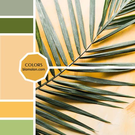 Variedad En Color MoodBoard 9