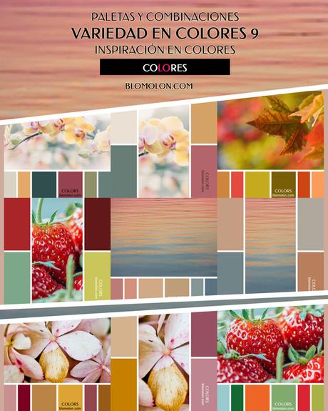 Variedad En Color MoodBoard 9