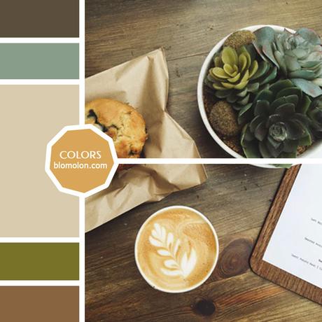 Variedad En Color MoodBoard 9