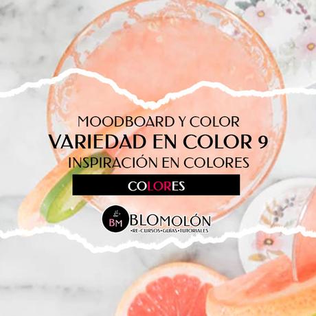 Variedad En Color MoodBoard 9