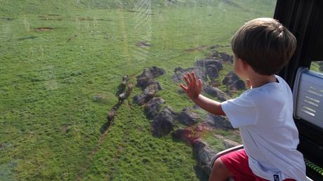 Visitamos Cabárceno con niños: imprescindible si viajas a Cantabria