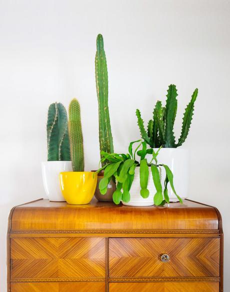 Estilo Mid century a todo color en New Orleans