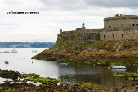 RAXARIA AS NEVES EN A CORUÑA, RAXO SIN GLUTEN TIERNO Y JUGOSO RAXARIA AS NEVES EN A CORUÑA, RAXO SIN GLUTEN TIERNO Y JUGOSO