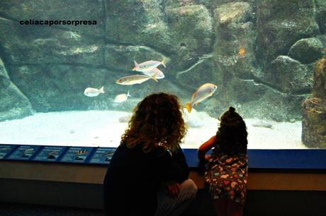RAXARIA AS NEVES EN A CORUÑA, RAXO SIN GLUTEN TIERNO Y JUGOSO RAXARIA AS NEVES EN A CORUÑA, RAXO SIN GLUTEN TIERNO Y JUGOSO