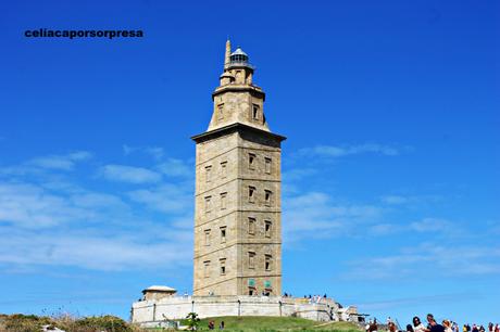 RAXARIA AS NEVES EN A CORUÑA, RAXO SIN GLUTEN TIERNO Y JUGOSO RAXARIA AS NEVES EN A CORUÑA, RAXO SIN GLUTEN TIERNO Y JUGOSO