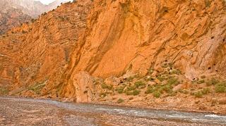 BUSCADORES DE FORMAS