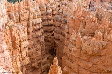 Estados Unidos. Donde la Naturaleza es Grande. Parte I