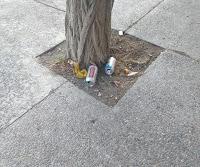 ZAPALINOS INDIGNADOS LUEGO DEL ACTO DEL MPN.