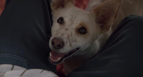 Burger King lanza un hueso con sabor a parrilla para que los dueños de perros puedan comer su hamburguesa tranquilamente