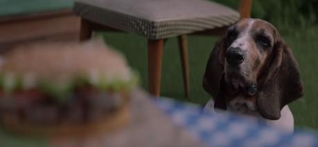 Burger King lanza un hueso con sabor a parrilla para que los dueños de perros puedan comer su hamburguesa tranquilamente