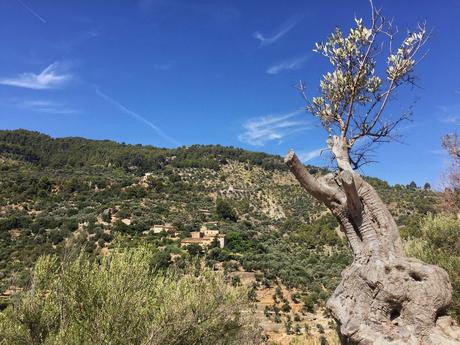 Volver a tu país después de vivir en el extranjero