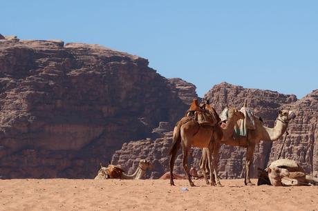 El Desierto de Wadi Rum